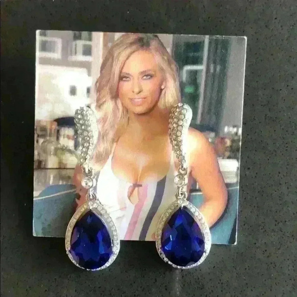 Blue and Silver Earrings - Picture 1 of 1